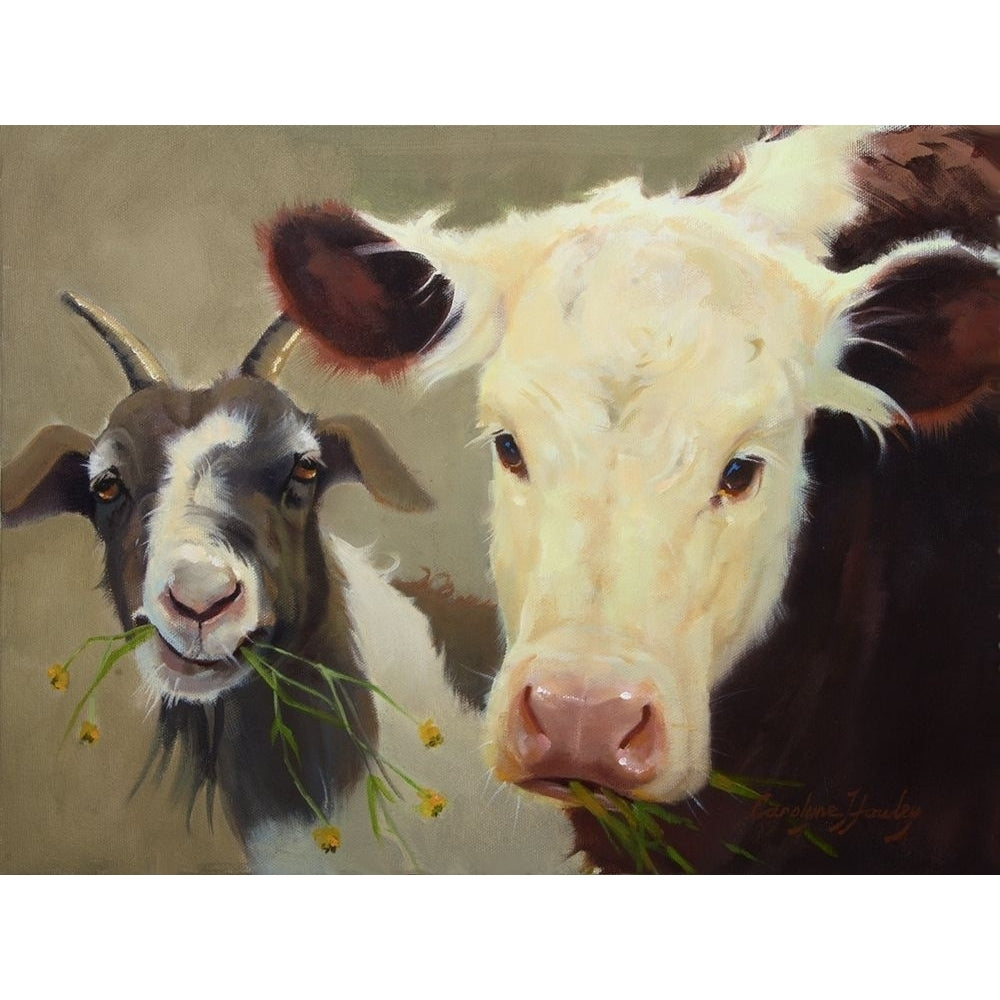 Farm Pals I Poster Print - Carolyne Hawley-VARPDX124570GG Image 1