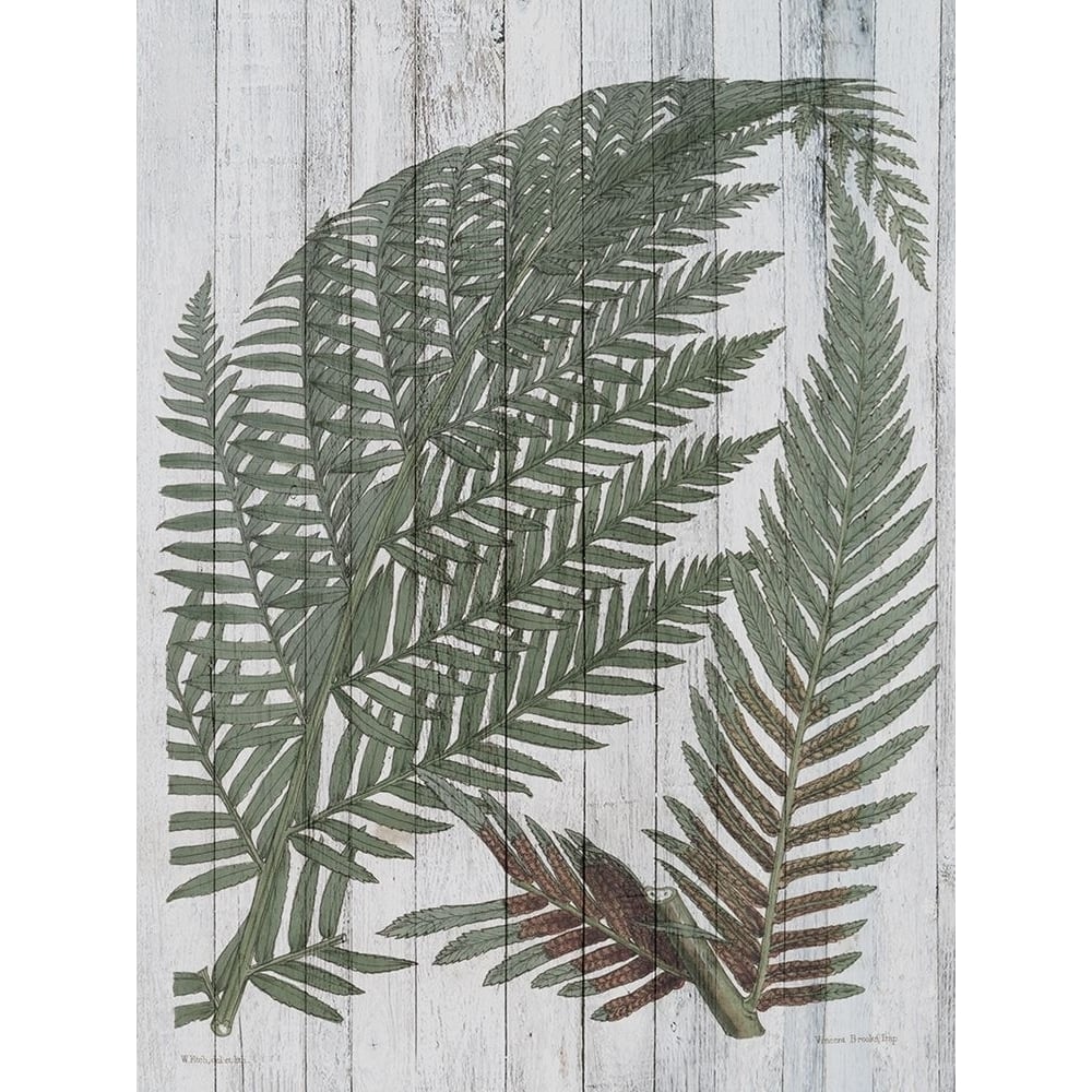 Rustic Greenery I Poster Print - W Studio-VARPDX124651GG Image 1