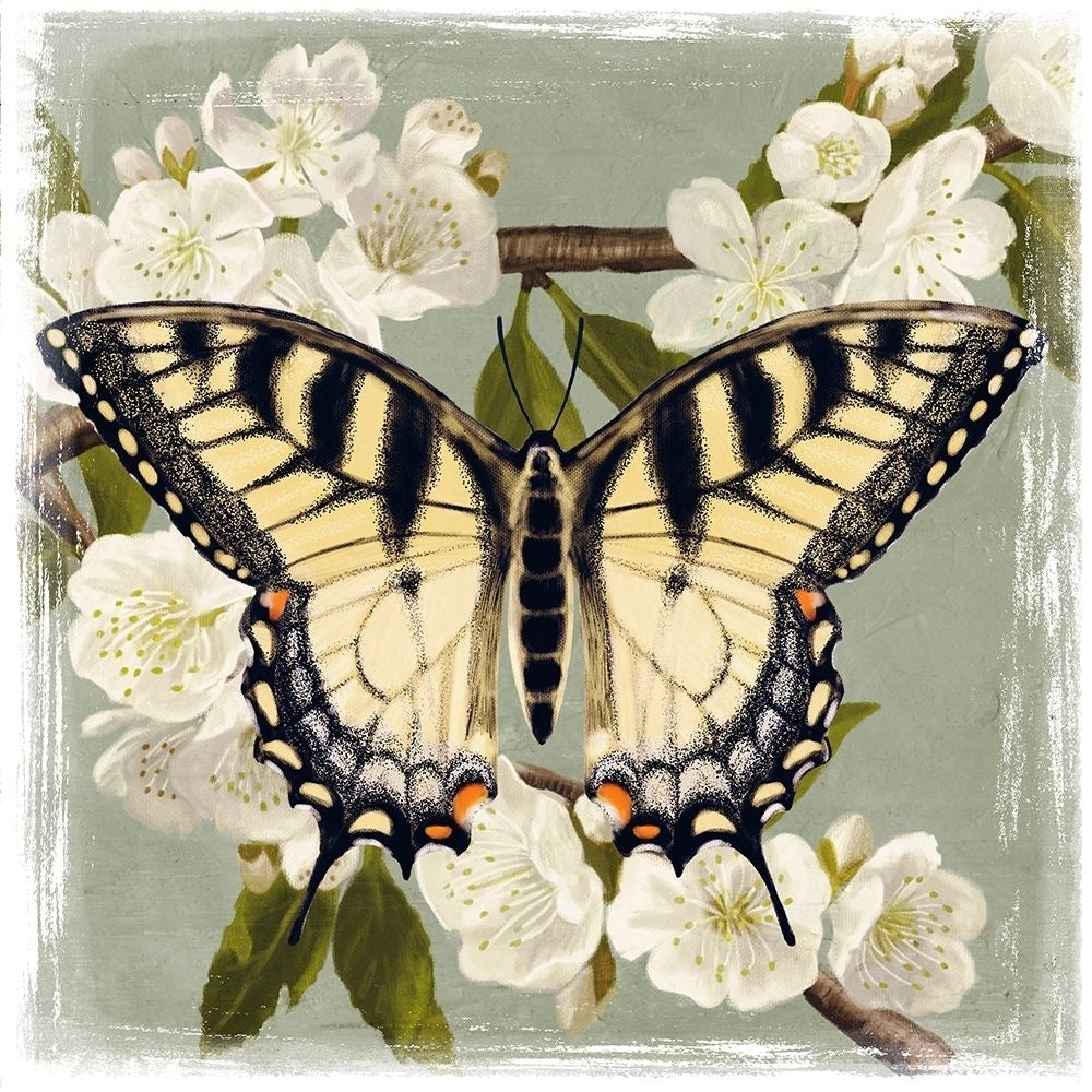 Butterfly Branch II Poster Print - Victoria Borges-VARPDX125244D Image 1