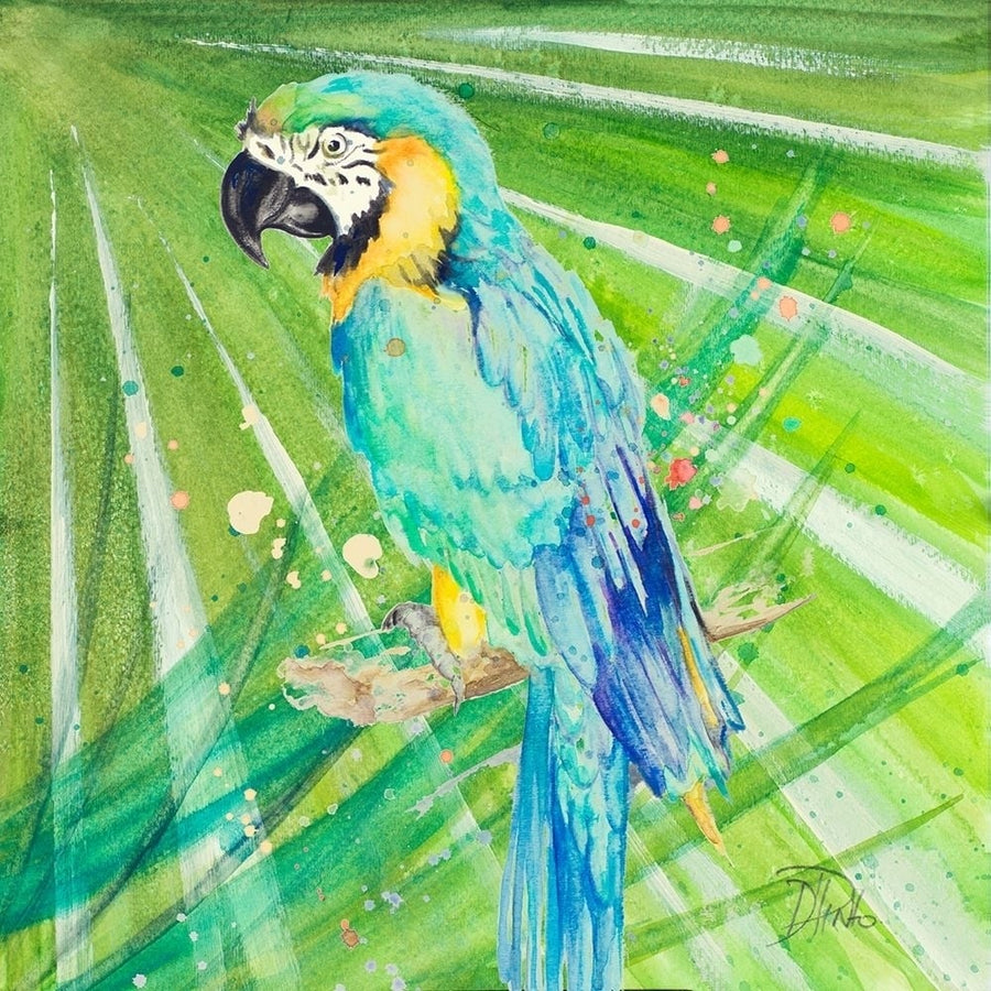 Colorful Parrot Poster Print by Patricia Pinto-VARPDX12524A Image 1