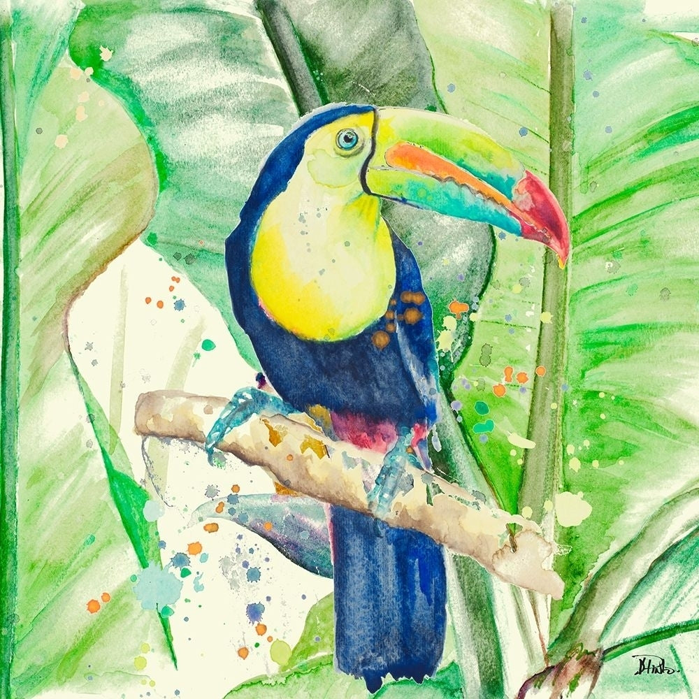 Colorful Toucan Poster Print by Patricia Pinto-VARPDX12525A Image 1