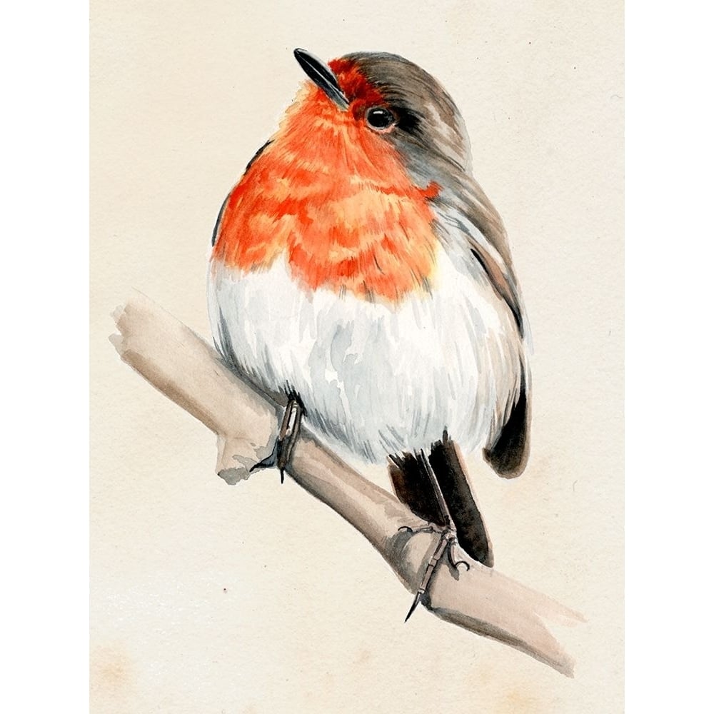 Little Bird on Branch IV Poster Print - Jennifer Paxton Parker-VARPDX125535D Image 1