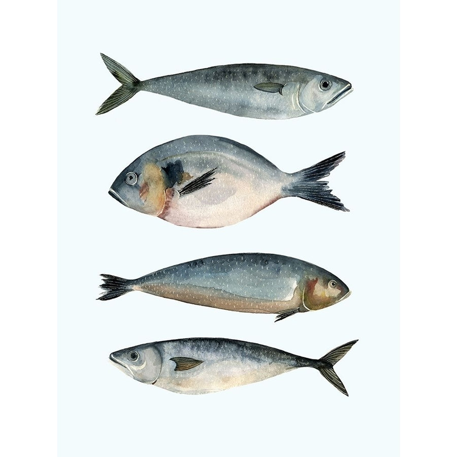 Four Fish II Poster Print - Emma Scarvey-VARPDX125555Z Image 1