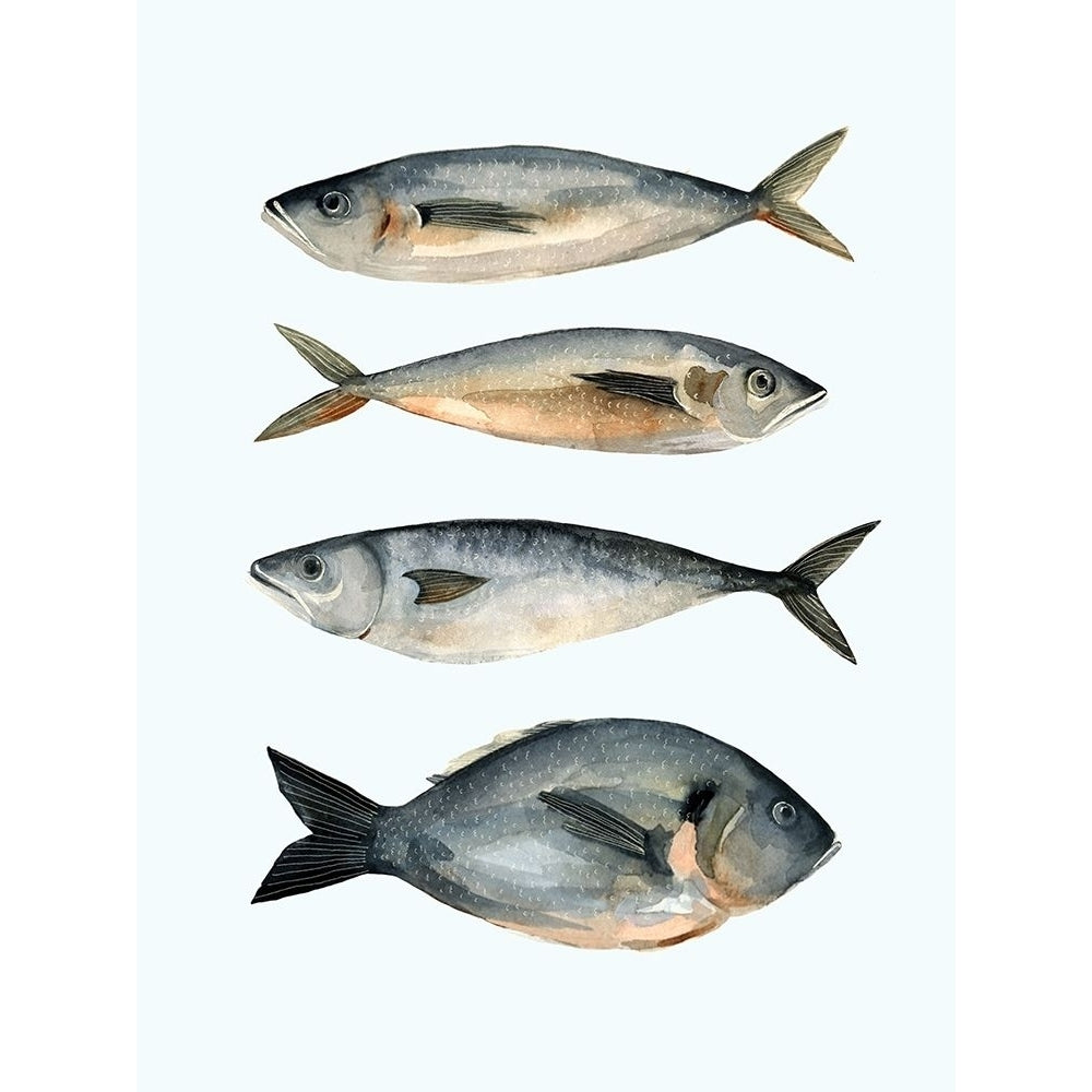 Four Fish I Poster Print - Emma Scarvey-VARPDX125554Z Image 1