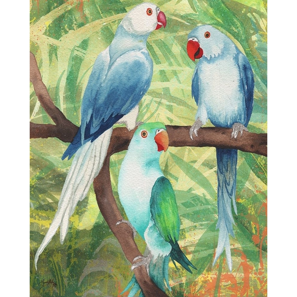 Tropical Birds I Poster Print by Elizabeth Medley-VARPDX12553M Image 1