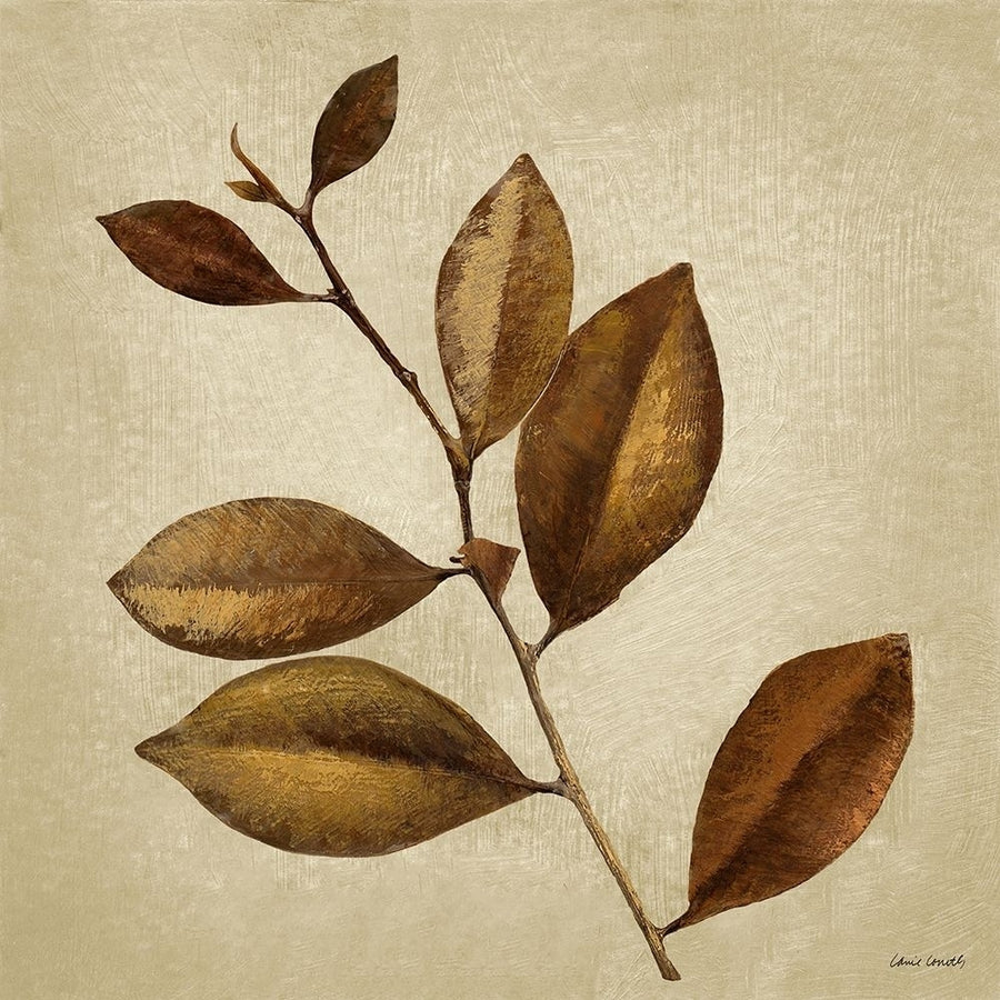 Antiqued Leaves II Poster Print by Lanie Loreth-VARPDX12575 Image 1