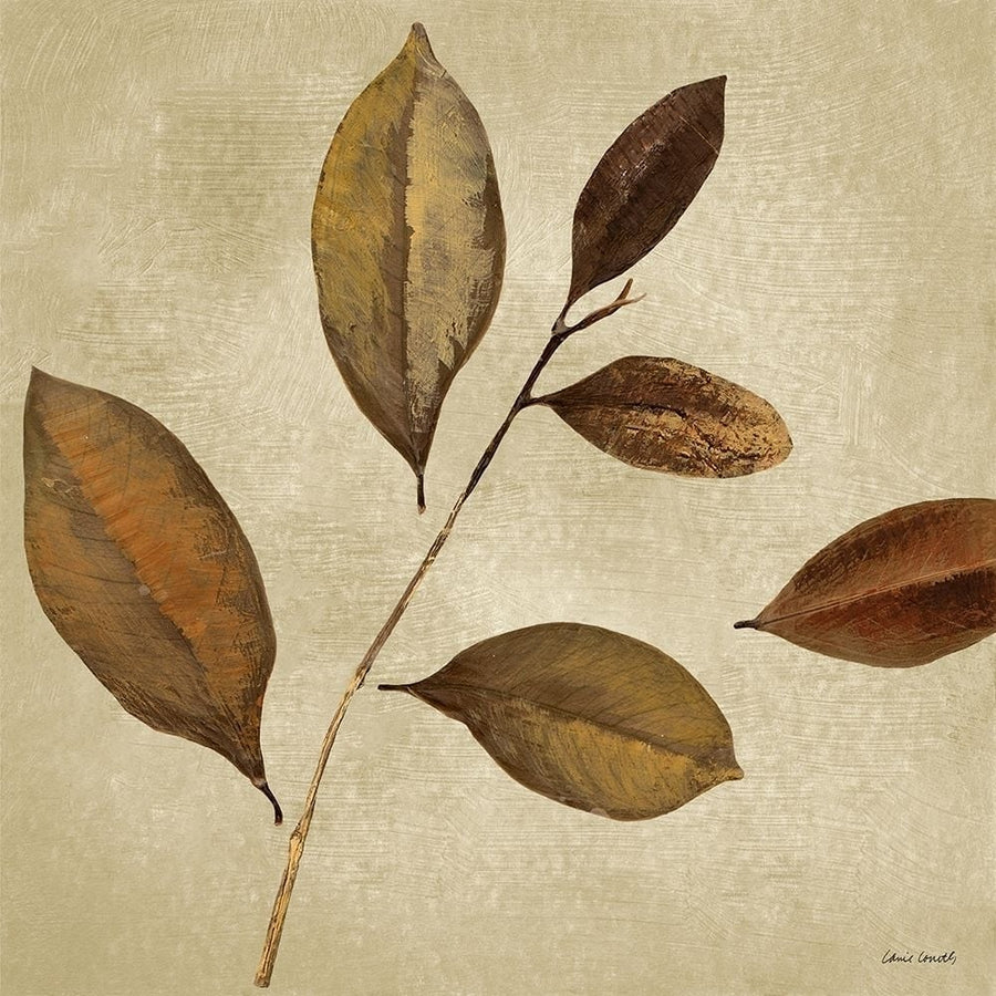 Antiqued Leaves I Poster Print by Lanie Loreth-VARPDX12574 Image 1