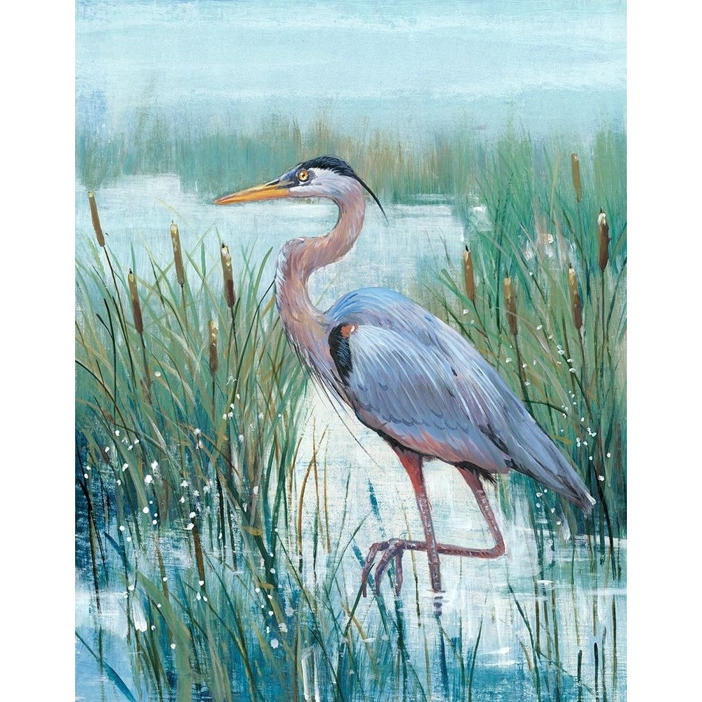 Marsh Heron II Poster Print - Tim OToole-VARPDX125799Z Image 1