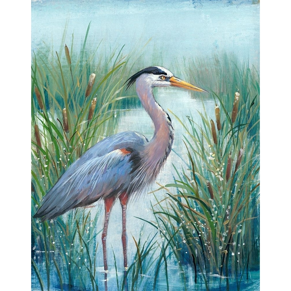 Marsh Heron I Poster Print - Tim OToole-VARPDX125798Z Image 1