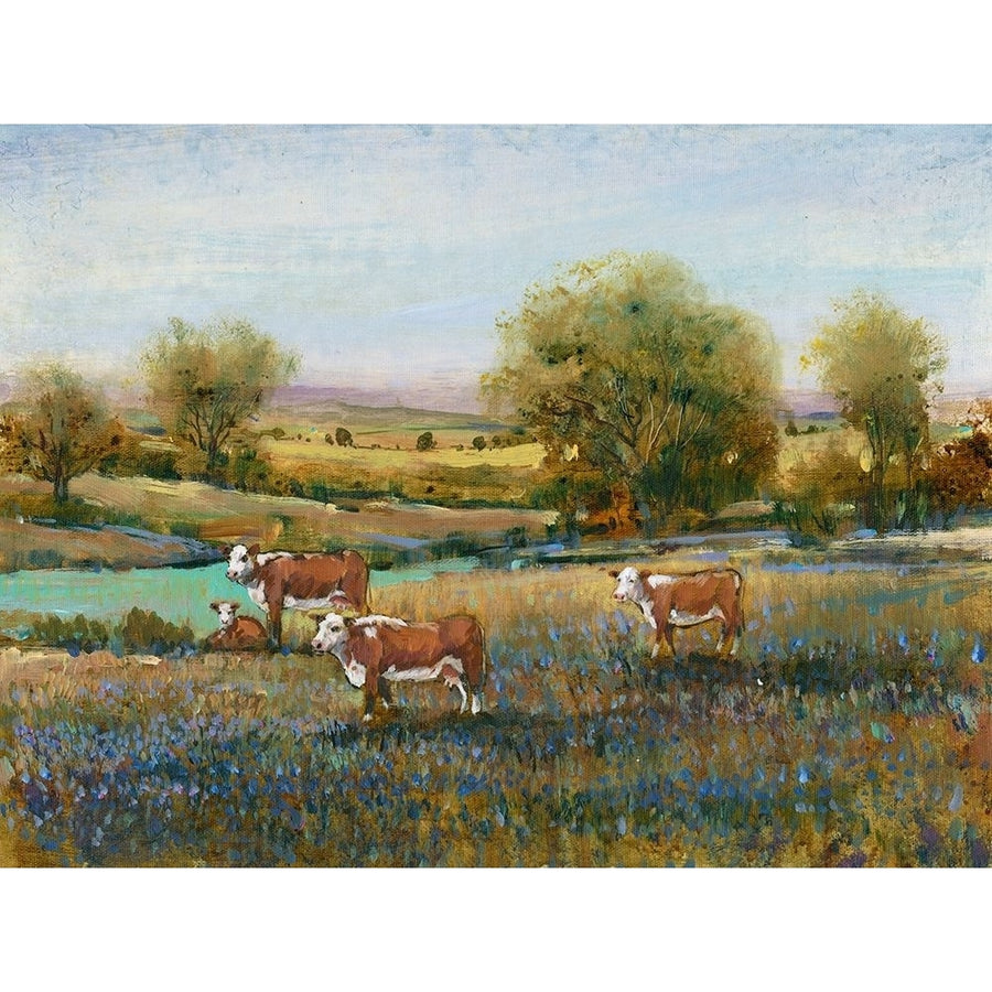 Field of Cattle II Poster Print - Tim OToole-VARPDX125801Z Image 1