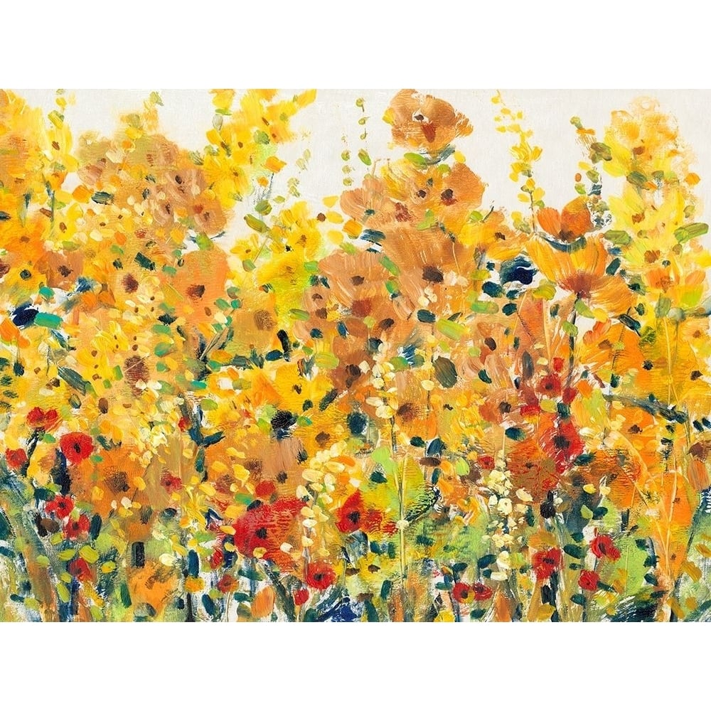 Golden Summer Garden I Poster Print - Tim OToole-VARPDX126227D Image 1