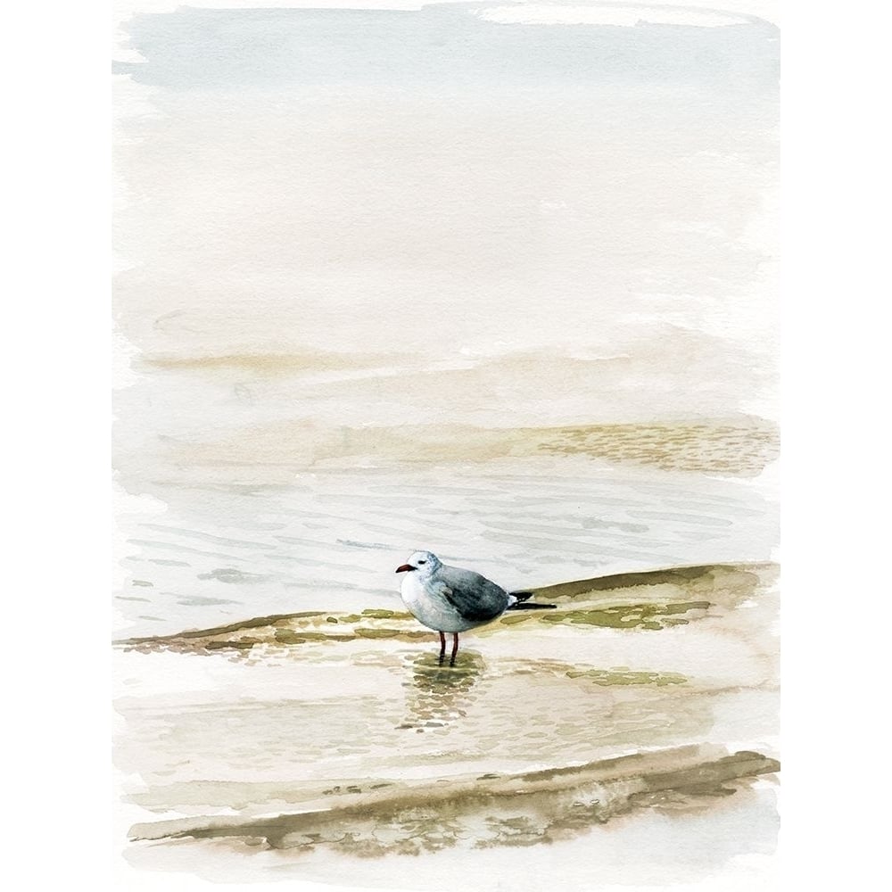 Coastal Gull II Poster Print - Victoria Borges-VARPDX126323Z Image 1