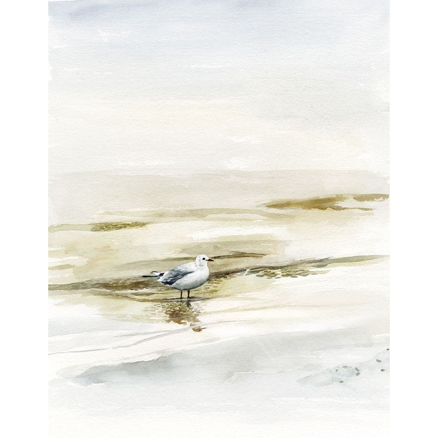 Coastal Gull I Poster Print - Victoria Borges-VARPDX126322Z Image 1