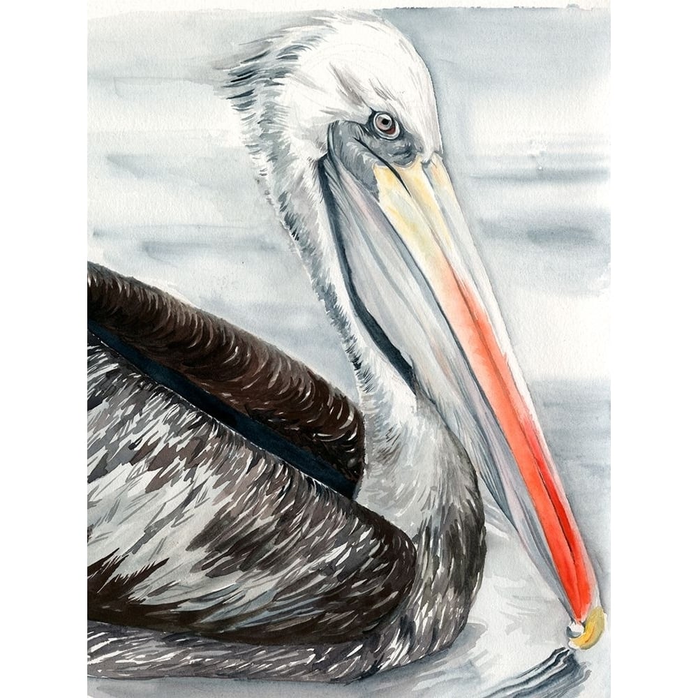 Grey Pelican I Poster Print - Jennifer Paxton Parker-VARPDX126410Z Image 1