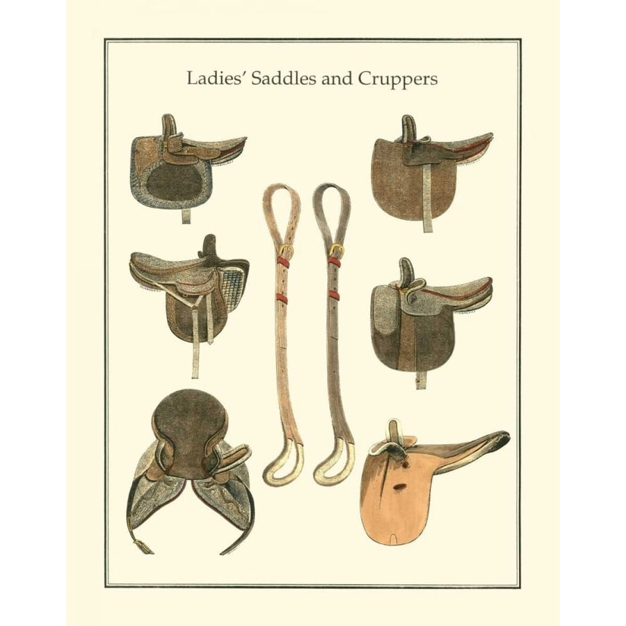 Ladies Saddles Poster Print - Studio Vision-VARPDX1265Z Image 1