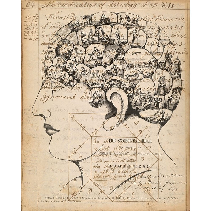 Phrenology Bookpage Poster Print - Jennifer Goldberger-VARPDX126730GG Image 1