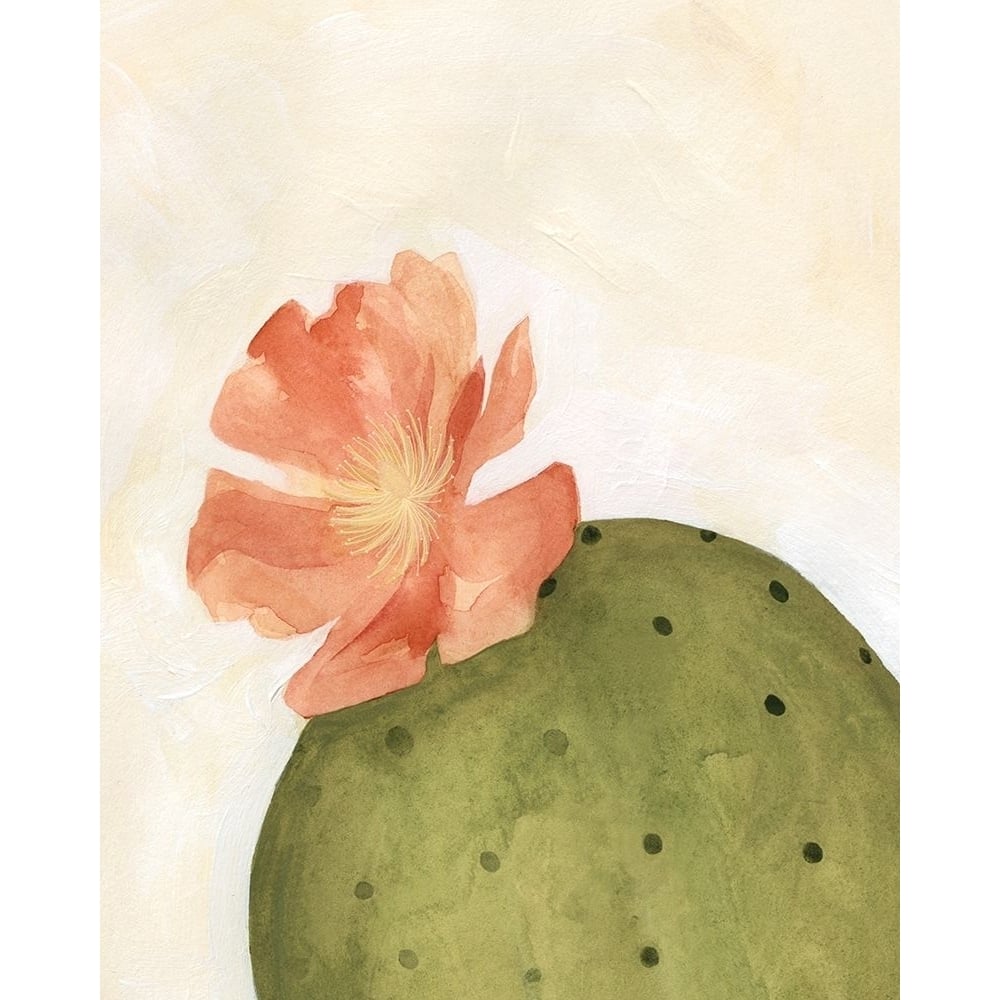 Arid Bloom I Poster Print - Emma Scarvey-VARPDX126852GG Image 1