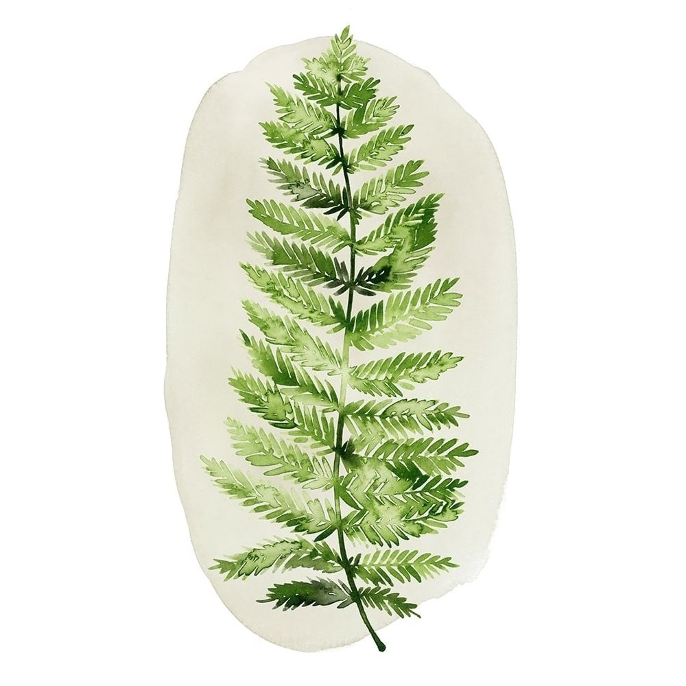 Spot Fern I Poster Print - Grace Popp-VARPDX126937Z Image 1