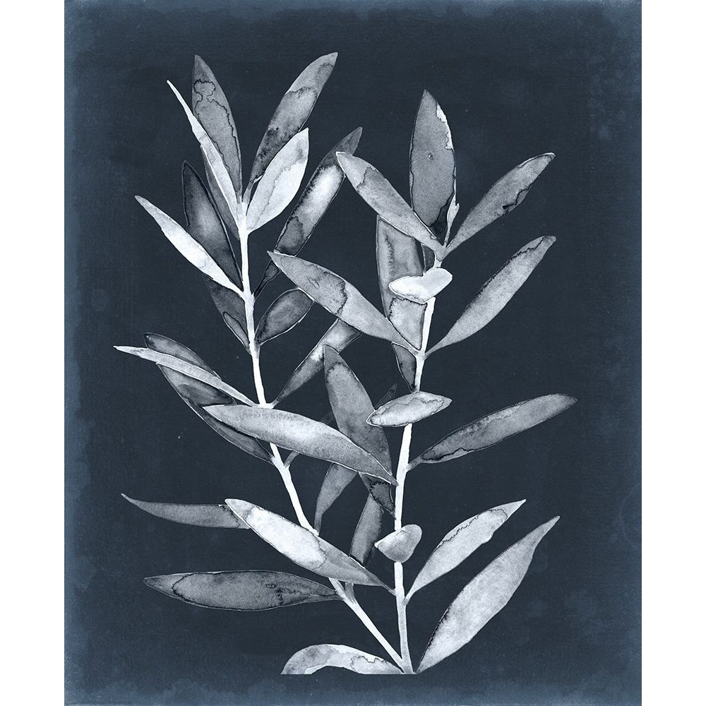 Midnight Leaves II Poster Print - Megan Meagher-VARPDX126987Z Image 1