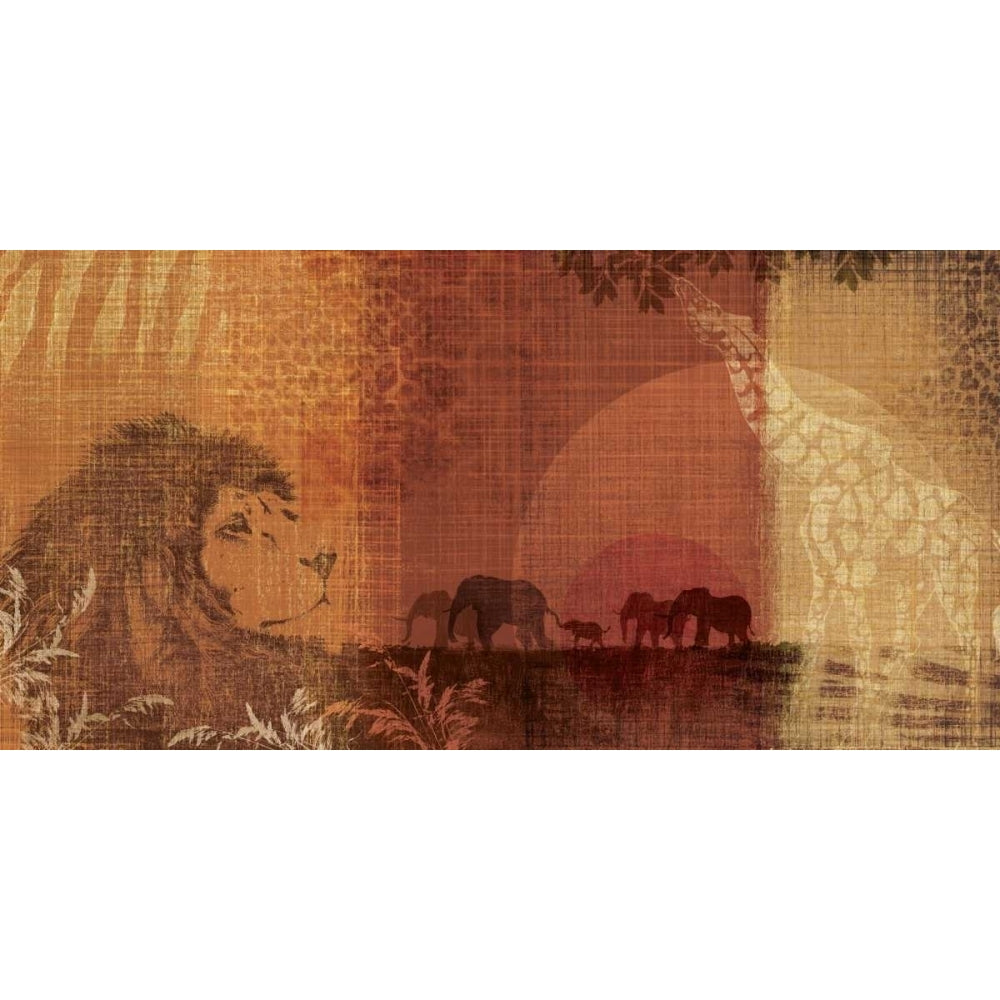 Safari Sunset II Poster Print by Tandi Venter-VARPDX12721 Image 1