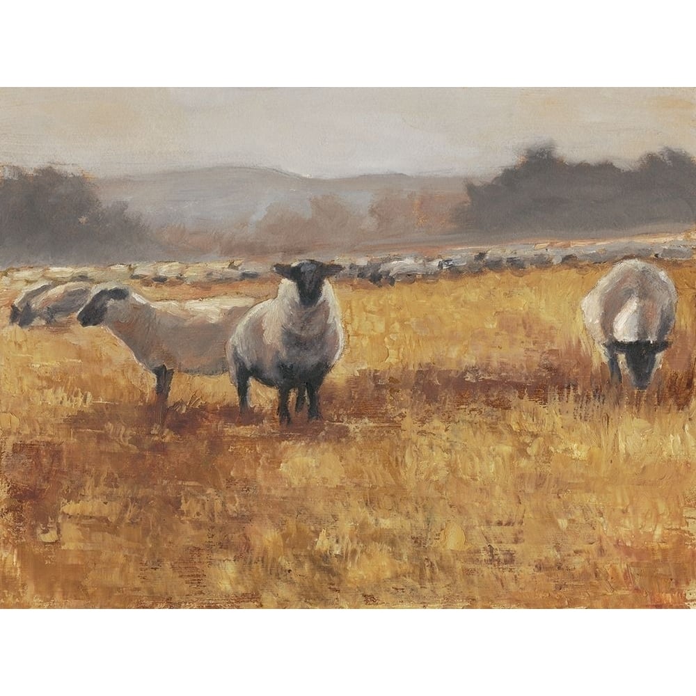 Grazing at Sunset I Poster Print - Ethan Harper-VARPDX127317FN Image 1