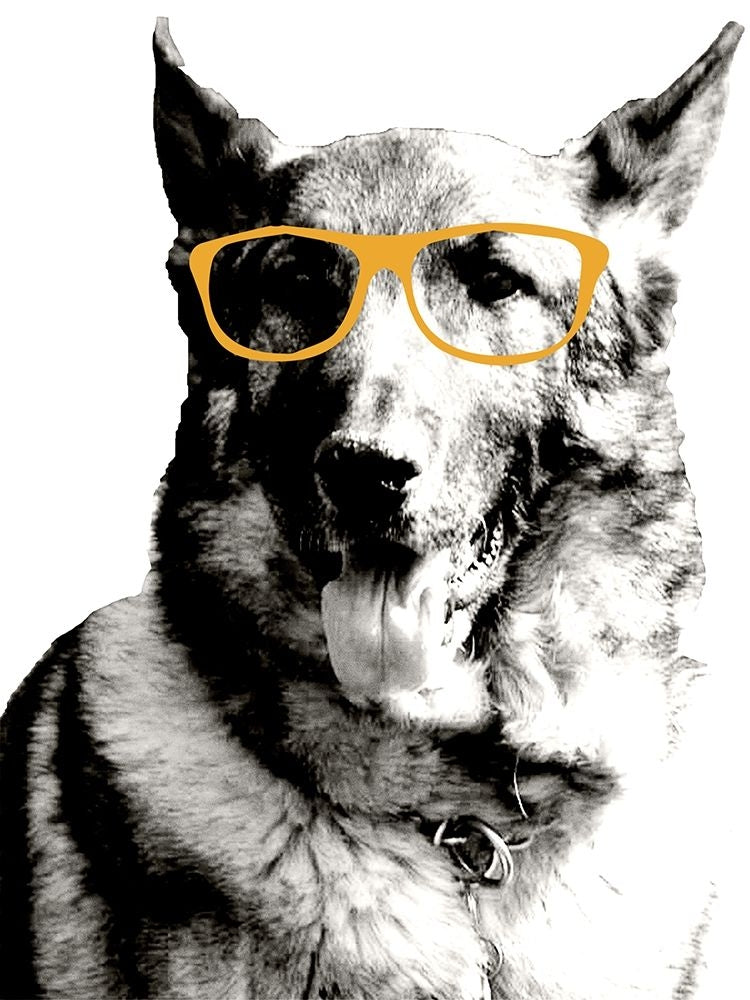 Cool Dog Poster Print by Kali Wilson-VARPDX12731CG Image 1