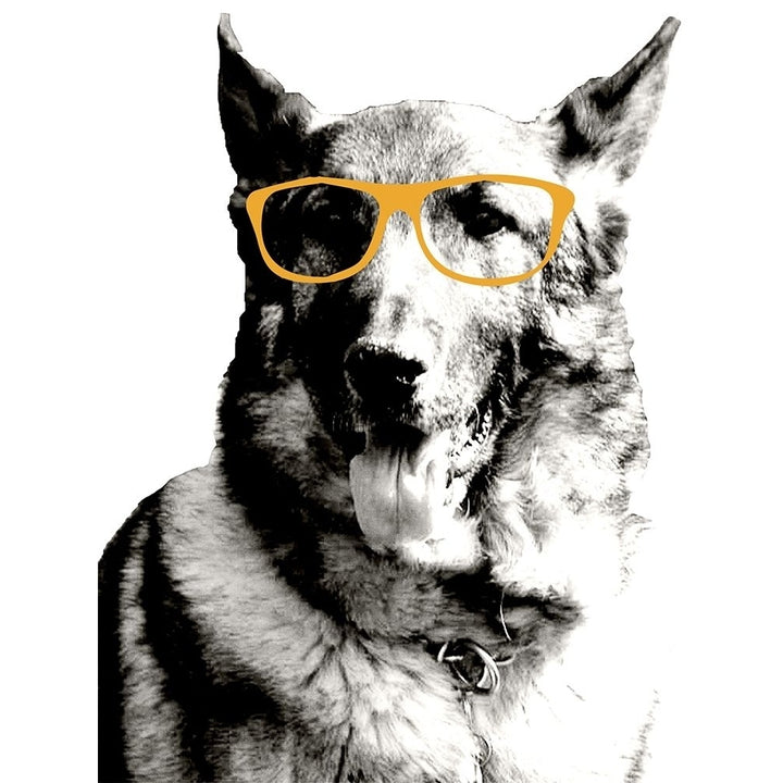 Cool Dog Poster Print by Kali Wilson-VARPDX12731CG Image 2