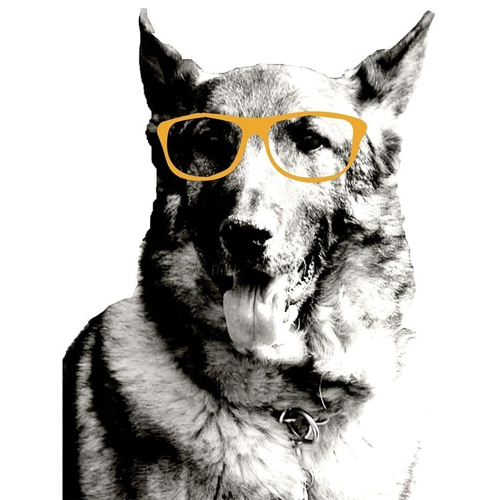 Cool Dog Poster Print by Kali Wilson-VARPDX12731CG Image 1