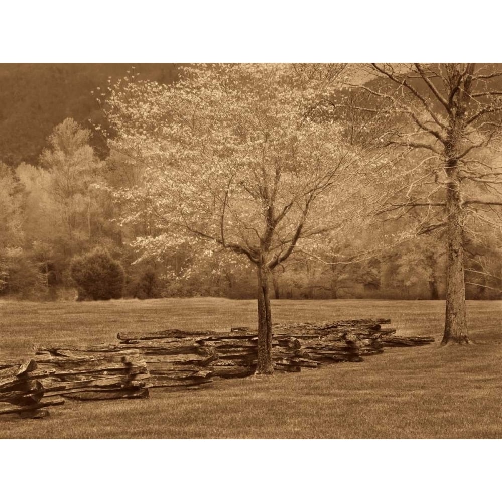 Smokies Fence Poster Print by Wendy Caro-VARPDX12751 Image 1