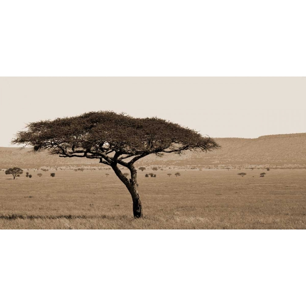 Serengeti Horizons I Poster Print by Jeff/Boyce Maihara/Watt-VARPDX12762 Image 1