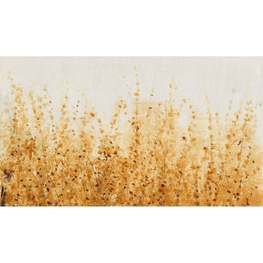 Ochre Fields II Poster Print - Tim OToole-VARPDX128080FN Image 1