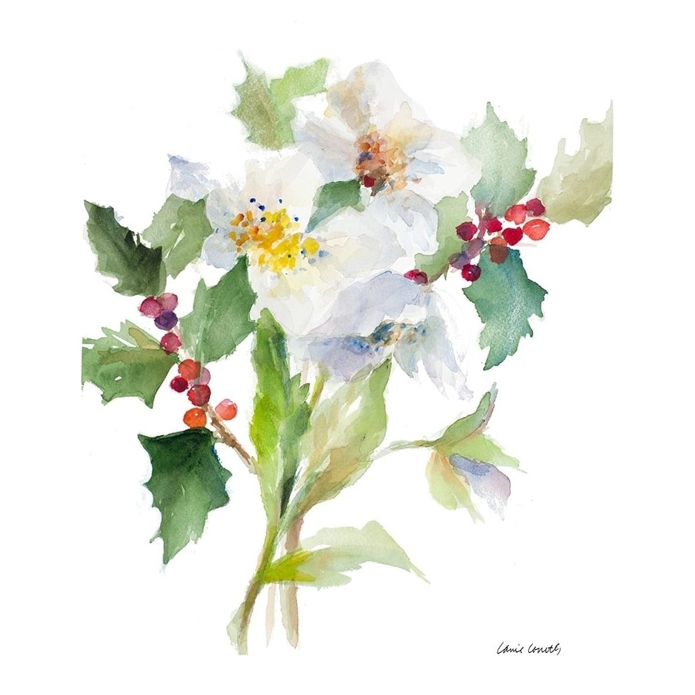 Christmas Bouquet II Poster Print by Lanie Loreth-VARPDX12811 Image 1