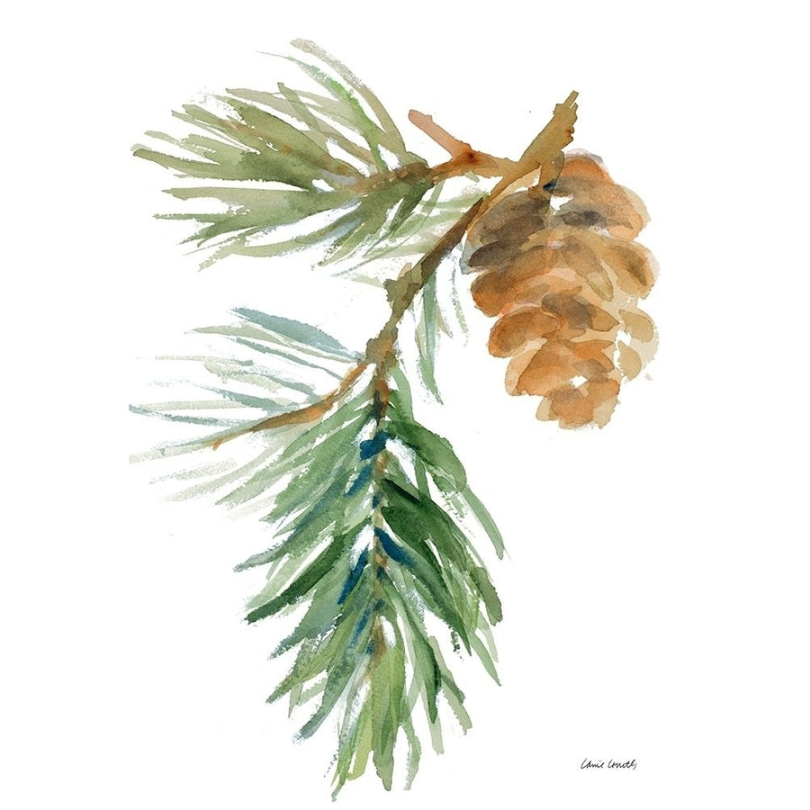 Pine Branch and Cone Poster Print by Lanie Loreth-VARPDX12813 Image 1