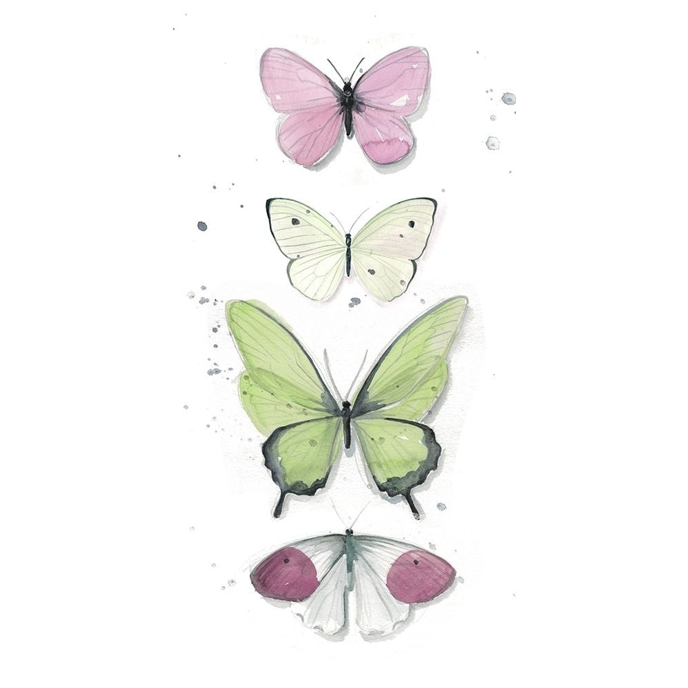 Summer Butterflies II Poster Print - Jennifer Paxton Parker-VARPDX128225GG Image 1