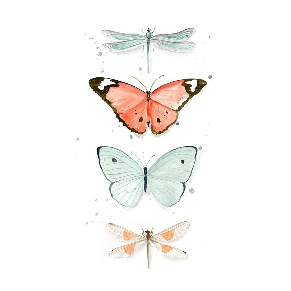 Summer Butterflies I Poster Print - Jennifer Paxton Parker-VARPDX128224GG Image 1