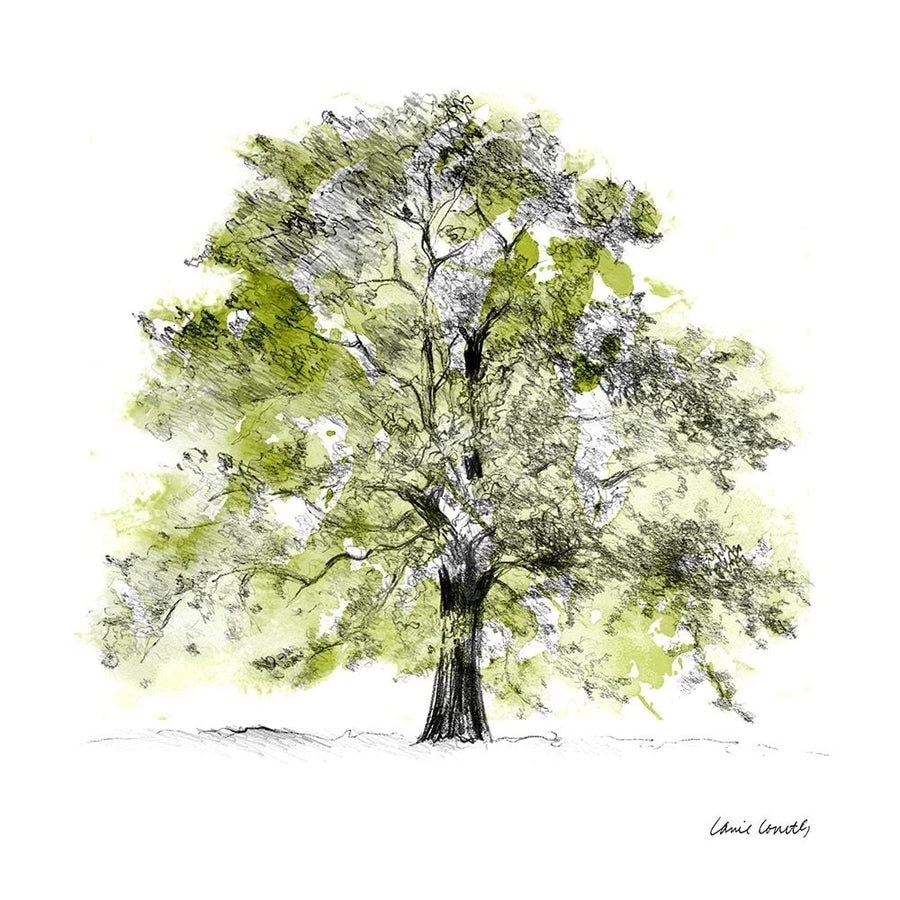 Tree with Green Leaves II Poster Print by Lanie Loreth-VARPDX12822B Image 1