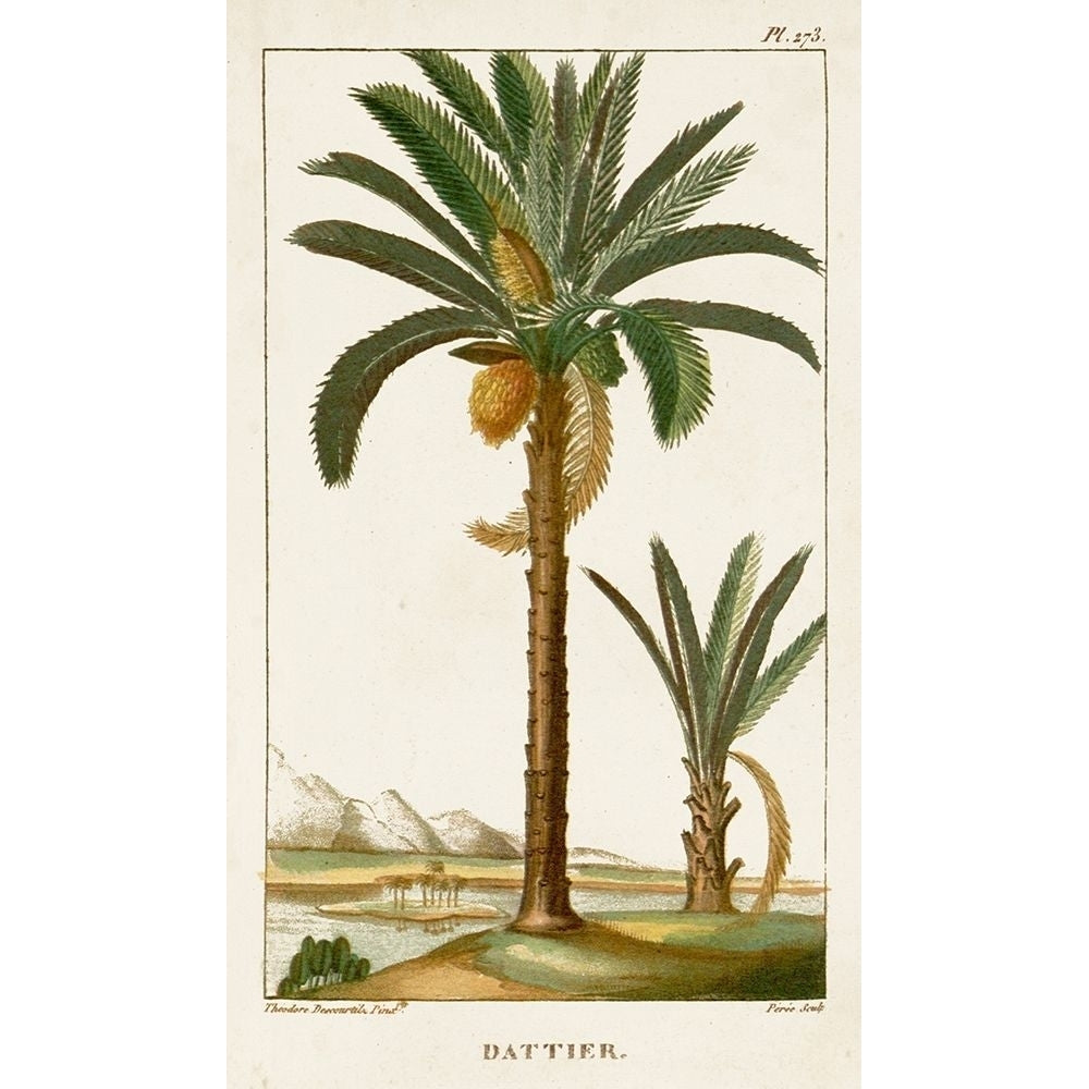 Turpin Exotic Palms IV Poster Print - Turpin-VARPDX128386Z Image 1