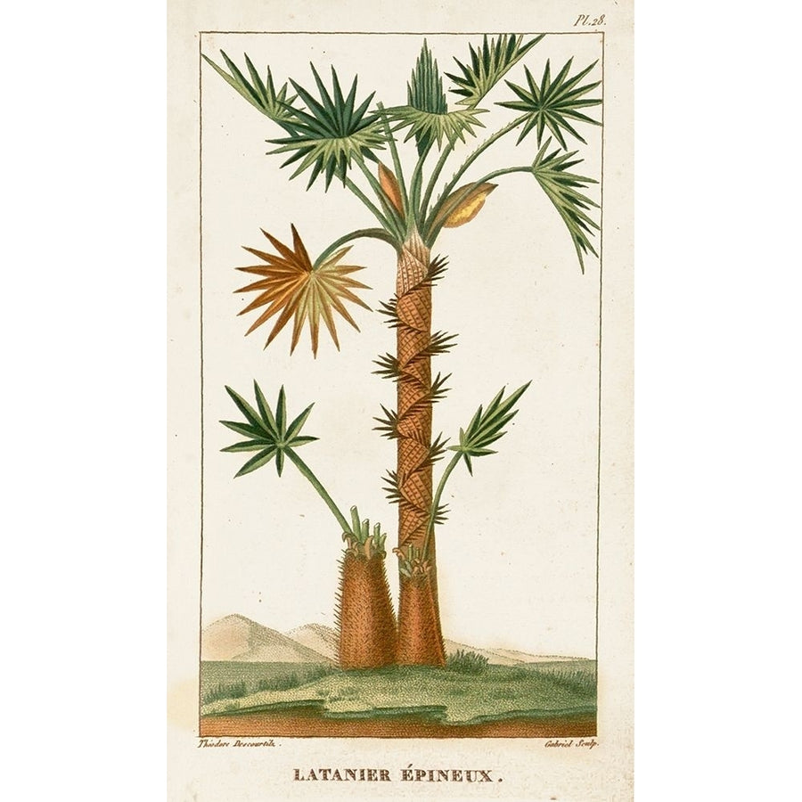 Turpin Exotic Palms I Poster Print - Turpin-VARPDX128383Z Image 1