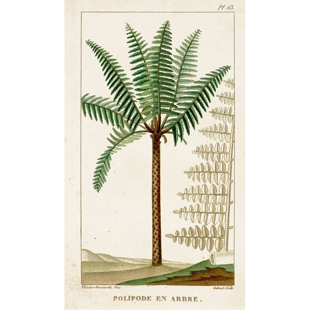 Turpin Exotic Palms III Poster Print - Turpin-VARPDX128385Z Image 1