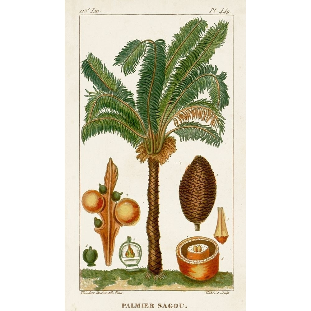 Turpin Exotic Palms VII Poster Print - Turpin-VARPDX128389Z Image 1