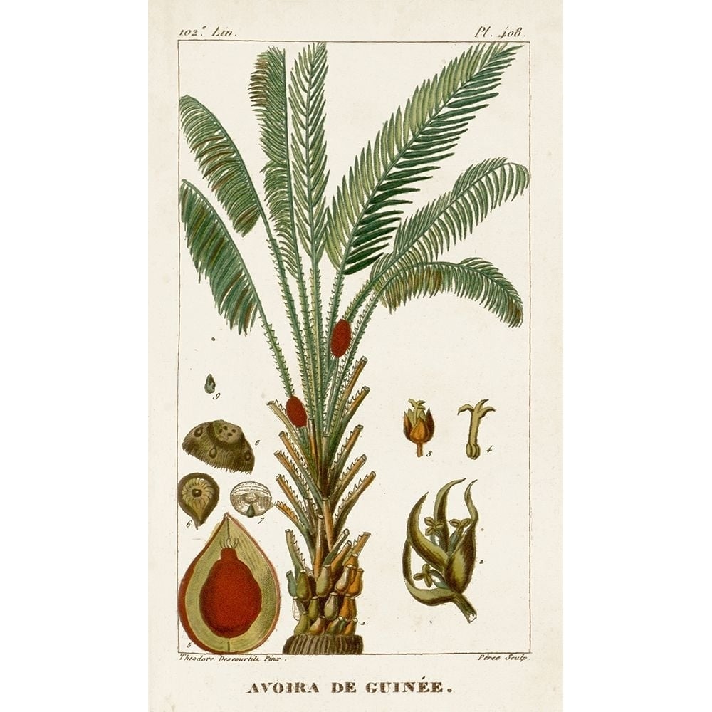 Turpin Exotic Palms VI Poster Print - Turpin-VARPDX128388Z Image 1