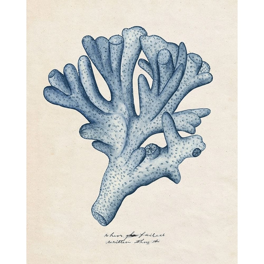 Sea Coral Study I Poster Print - Melissa Wang-VARPDX128446Z Image 1