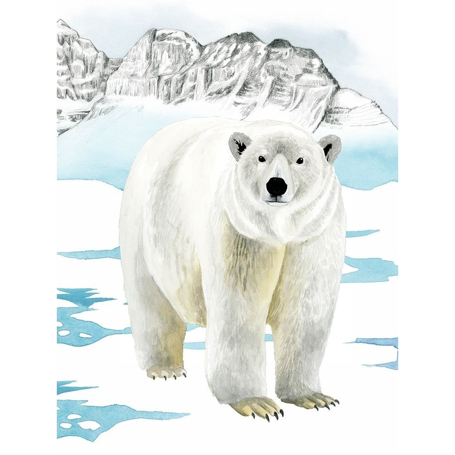 Arctic Animal II Poster Print - Grace Popp-VARPDX128687GG Image 1