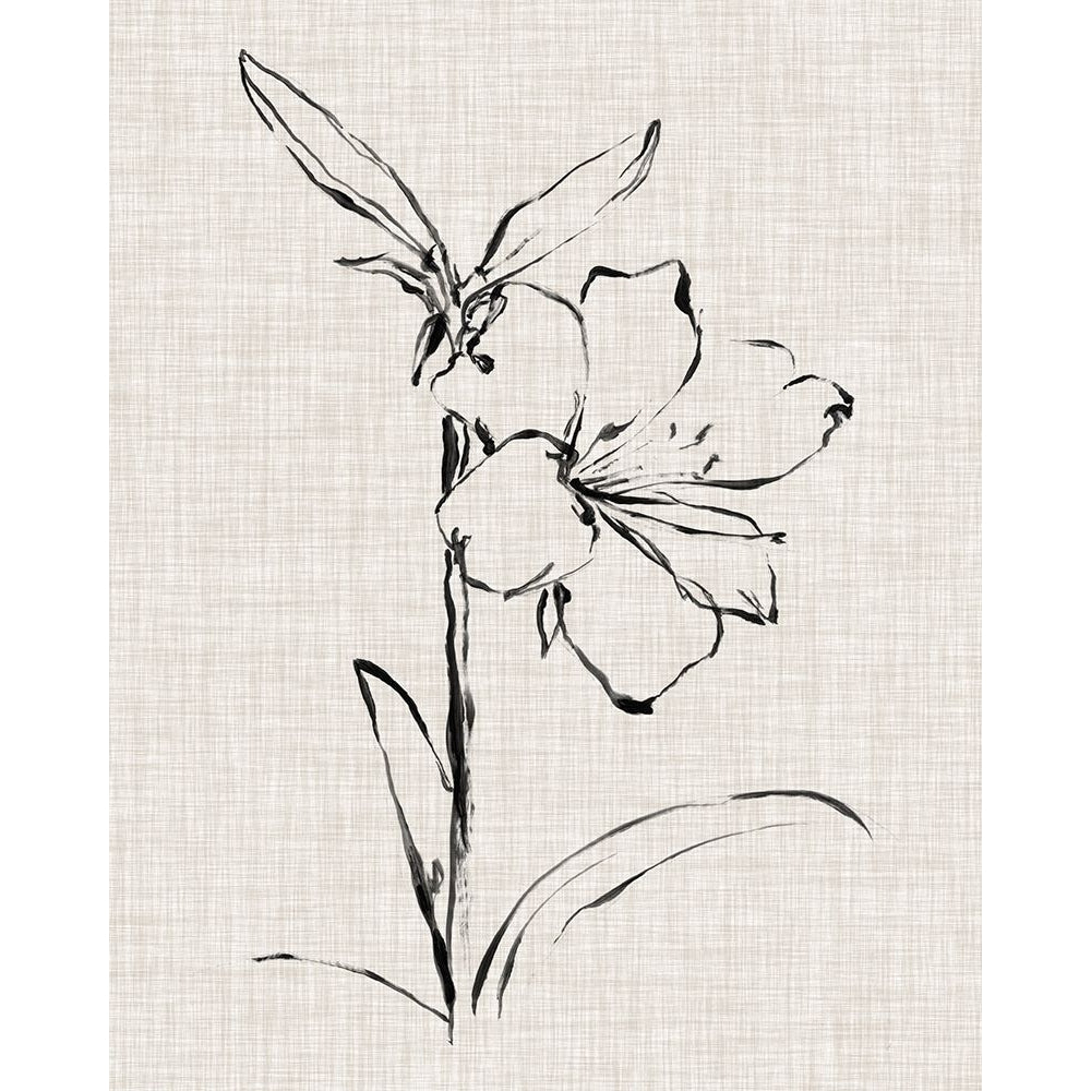 Floral Ink Study I Poster Print - Ethan Harper-VARPDX128827Z Image 1