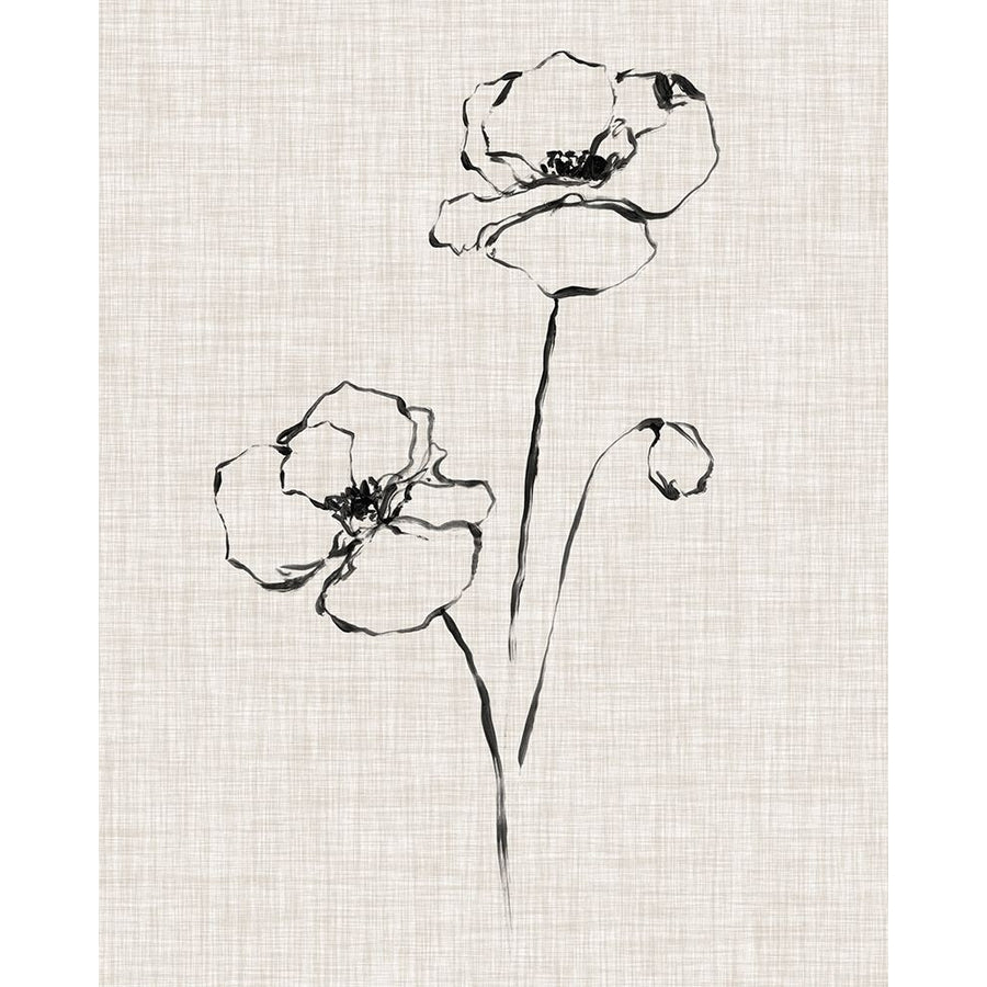 Floral Ink Study III Poster Print - Ethan Harper-VARPDX128829Z Image 1