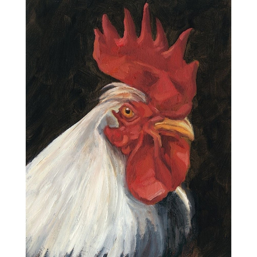 Rooster Portrait I Poster Print - Ethan Harper-VARPDX128835Z Image 1