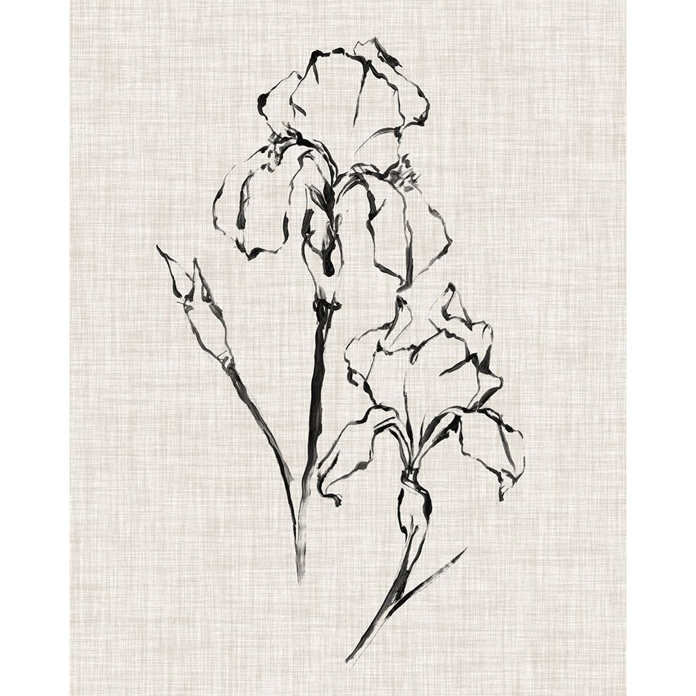 Floral Ink Study II Poster Print - Ethan Harper-VARPDX128828Z Image 1