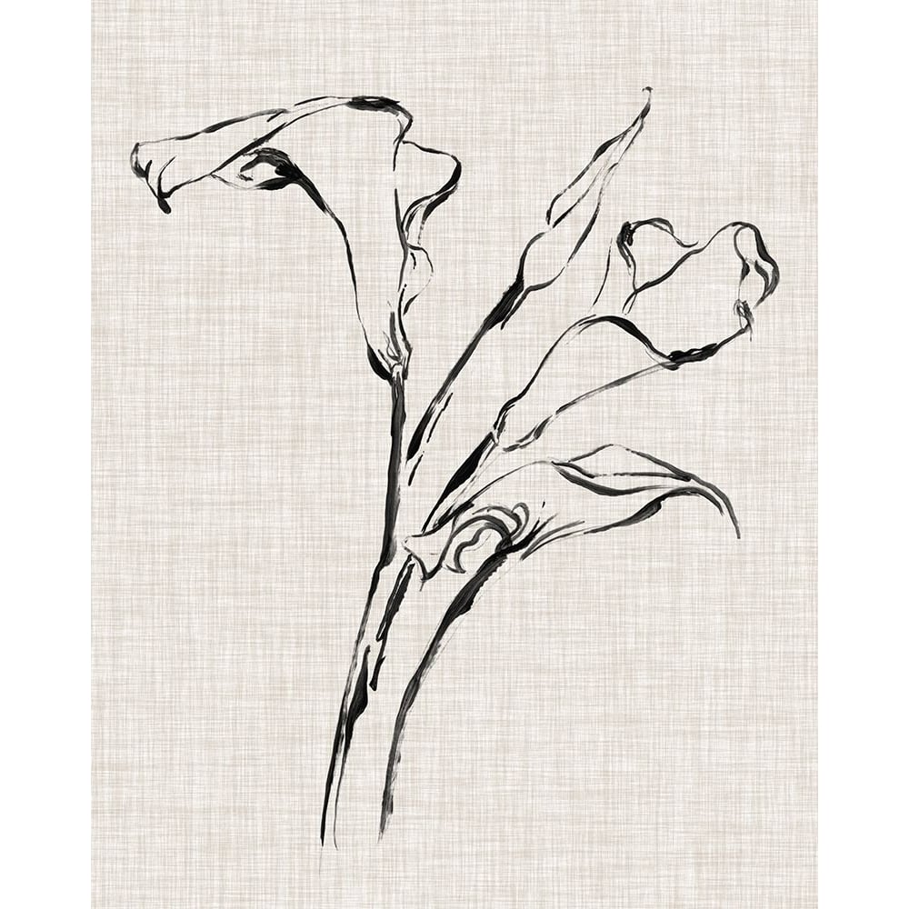 Floral Ink Study IV Poster Print - Ethan Harper-VARPDX128830Z Image 1