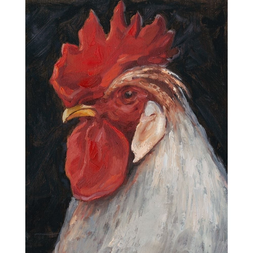 Rooster Portrait II Poster Print - Ethan Harper-VARPDX128836Z Image 1