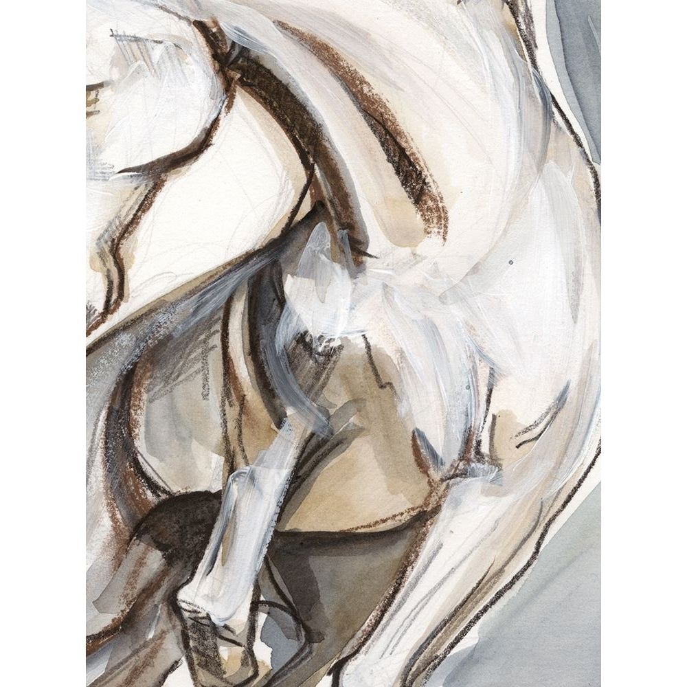 Horse Abstraction II Poster Print - Jennifer Paxton Parker-VARPDX128863Z Image 1